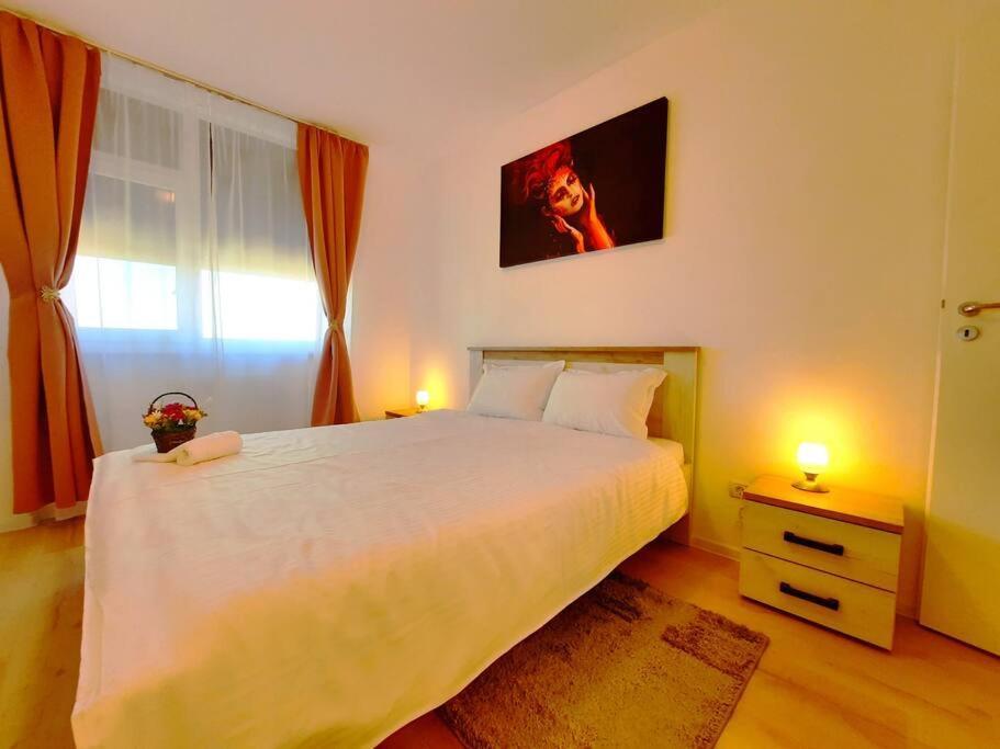 Beautiful Panoramic Central Apartment - City Of Mara Timisoara Exterior photo