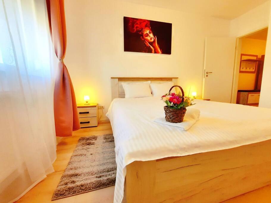 Beautiful Panoramic Central Apartment - City Of Mara Timisoara Exterior photo